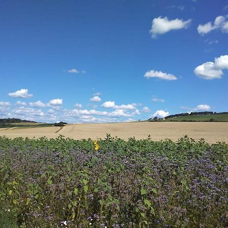 Obere Ferienwohnung Asshoff Zwischen Odenwald, Taubertal Und Bauland Berolzheim 外观 照片