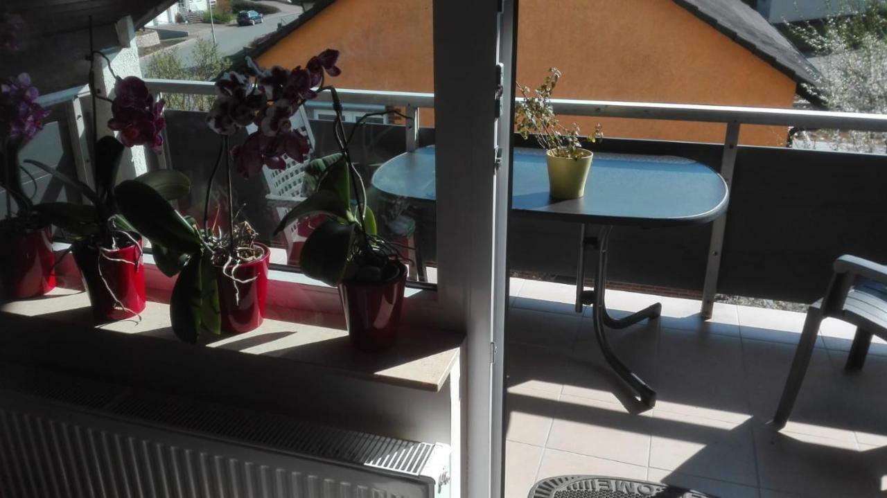 Obere Ferienwohnung Asshoff Zwischen Odenwald, Taubertal Und Bauland Berolzheim 外观 照片