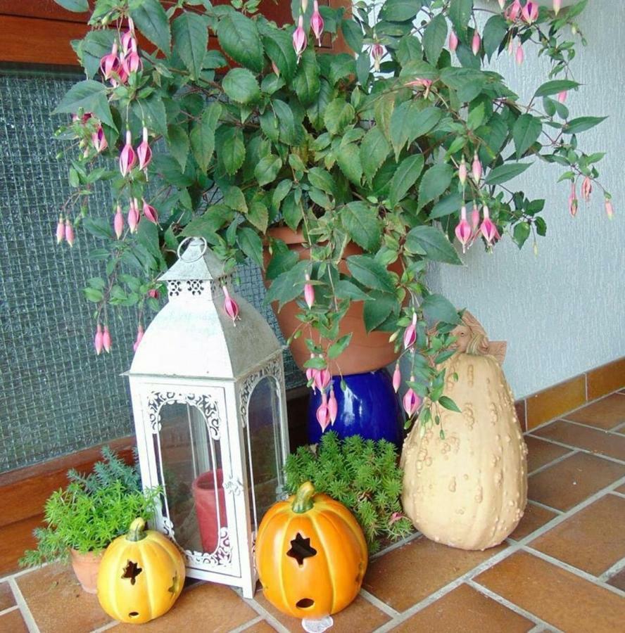 Obere Ferienwohnung Asshoff Zwischen Odenwald, Taubertal Und Bauland Berolzheim 外观 照片